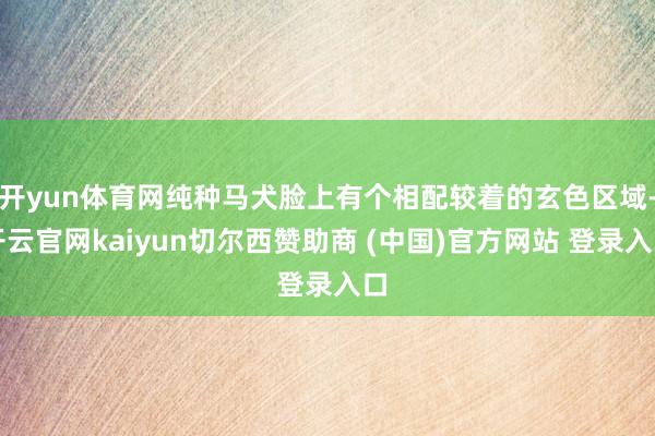 开yun体育网纯种马犬脸上有个相配较着的玄色区域-开云官网kaiyun切尔西赞助商 (中国)官方网站 登录入口