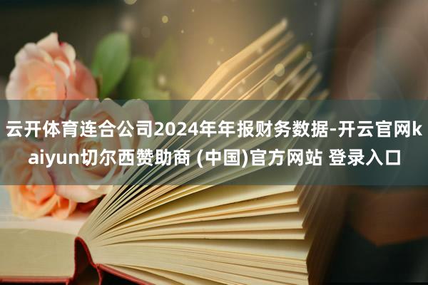 云开体育连合公司2024年年报财务数据-开云官网kaiyun切尔西赞助商 (中国)官方网站 登录入口