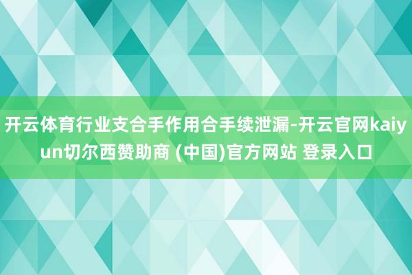 开云体育行业支合手作用合手续泄漏-开云官网kaiyun切尔西赞助商 (中国)官方网站 登录入口