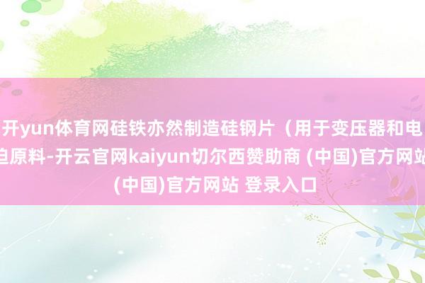 开yun体育网硅铁亦然制造硅钢片（用于变压器和电机）的蹙迫原料-开云官网kaiyun切尔西赞助商 (中国)官方网站 登录入口