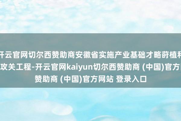 开云官网切尔西赞助商安徽省实施产业基础才略莳植和关键时候装备攻关工程-开云官网kaiyun切尔西赞助商 (中国)官方网站 登录入口