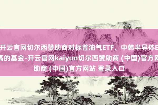 开云官网切尔西赞助商对标普油气ETF、中韩半导体ETF等溢价较高的基金-开云官网kaiyun切尔西赞助商 (中国)官方网站 登录入口