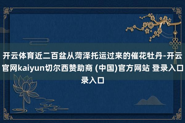开云体育　　近二百盆从菏泽托运过来的催花牡丹-开云官网kaiyun切尔西赞助商 (中国)官方网站 登录入口